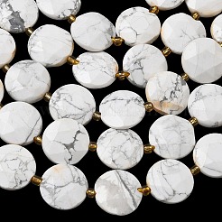 Природные Говлит бисер нитей&nbsp;G-A292-A03-01