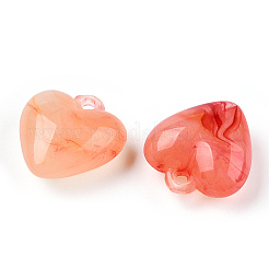 Непрозрачные акриловые подвески&nbsp;MACR-F079-05B