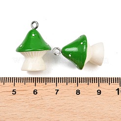 Подвески из непрозрачной смолы&nbsp;RESI-XCP0002-40A