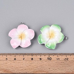 Подвески из непрозрачной смолы&nbsp;RESI-T059-05M