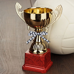 20 ярдовая полиэстеровая волейбольная лента с принтом спортивных мячей и корсажной лентой&nbsp;OCOR-WH0085-75A-01