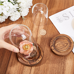 Стеклянный купол&nbsp;AJEW-SC0001-61C