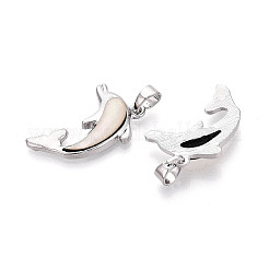 Подвески из сплава и окрашенных натуральных раковин морского ушка&nbsp;PALLOY-T093-07A