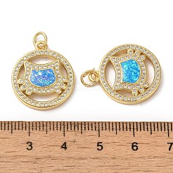 Покрытие стойки латунь микропаве прозрачные подвески из кубического циркония&nbsp;KK-P268-13G