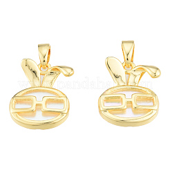 Природные подвески оболочки пресноводных KK-N231-407