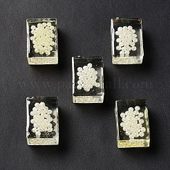 Прозрачные акриловые бусины&nbsp;TACR-XCP0001-13