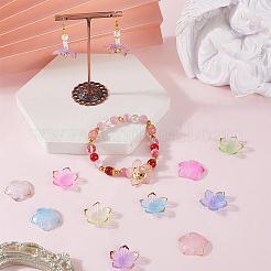 240шт 6 цвета прозрачные акриловые колпачки для бусин&nbsp;TACR-SC0001-44