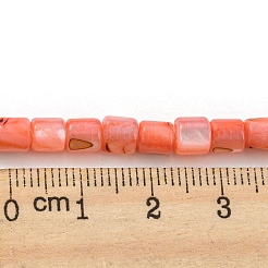 Нити бусин из натуральных пресноводных ракушек&nbsp;SHEL-F008-04F