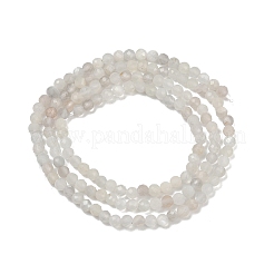 Натуральный белый лунный камень бисер пряди G-D304-01-2.5mm
