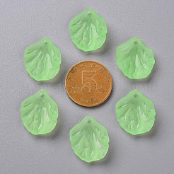 Прозрачные матовые акриловые подвески&nbsp;MACR-S371-01A-733