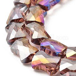 Ab цветные прозрачные стеклянные бусины пряди&nbsp;EGLA-P051-06A-A14