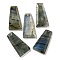 Natural Labradorite Pendants, Faceted Trapezoid Charms, 25x13x4mm, Hole: 1mm
