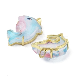 Подвески из полупрозрачной смолы&nbsp;KK-G482-11G