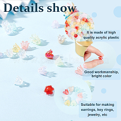 560 шт. 8-цветные 6-лепестковые акриловые колпачки для бусин с имитацией желе&nbsp;OACR-DC0001-05