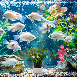 10 шт. керамическое кольцо для фиксации водорослей&nbsp;AJEW-NB0007-16