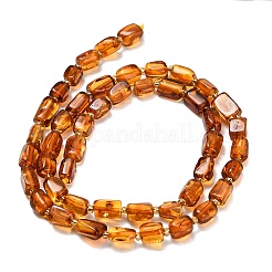 Янтарные шарики нити&nbsp;G-Z106-B01-01C