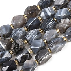 Природные Ботсвана агат бисер нитей&nbsp;G-P611-B02-01