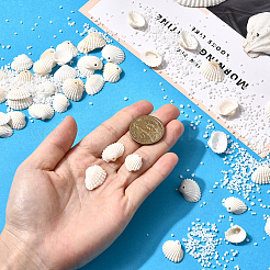 100 шт. подвески из натуральной ракушки&nbsp;SSHEL-SC0001-53