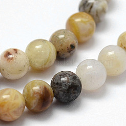 Природные бамбуковых листьев агат бисер нитей&nbsp;G-F364-02-6mm