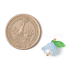 Стеклянные подвески&nbsp;PALLOY-MZ00837-05