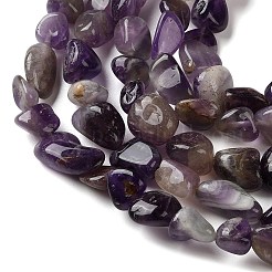 Природный аметист нитей бисера&nbsp;G-C268-A05-8x10mm