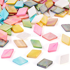 80 шт. 8-х цветные бусины из натуральных пресноводных ракушек&nbsp;SHEL-TA0001-26