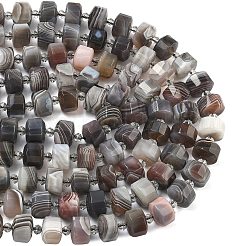 Природные Ботсвана агат бисер нитей&nbsp;G-G453-G10-7x12mm