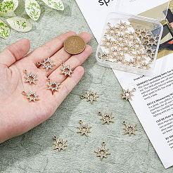 40 шт. подвески из сплава со стразами с УФ-покрытием&nbsp;ALRI-DC0001-09