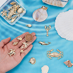 20шт 10 стиля подвески из сплава в тибетском стиле&nbsp;TIBEP-UN0001-25G