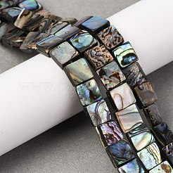 Природные пауа бусы нити&nbsp;BSHE-ZX006-07A