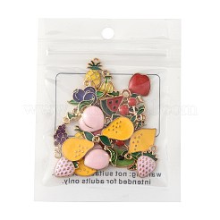 24шт 12 стиля подвески из сплава с эмалью&nbsp;ENAM-FS0003-41