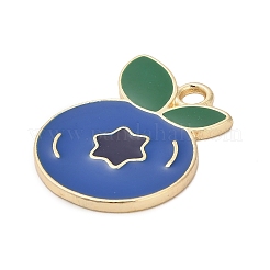 Подвески из эмали и сплава&nbsp;ENAM-A011-02G