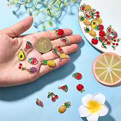 40шт 10 стиля сплава эмалевые подвески&nbsp;ENAM-SC0007-19