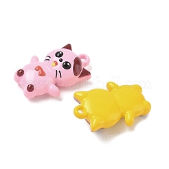 Подвески из сплава краски для выпечки&nbsp;FIND-D002-02B