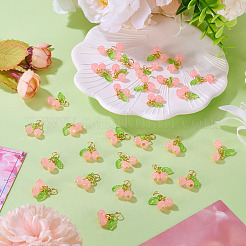 30шт стеклянные подвески&nbsp;PALLOY-TAC0209