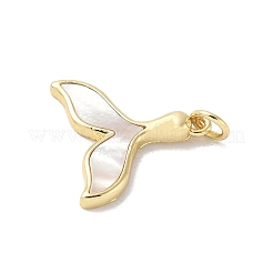 Подвески из латуни с натуральными белыми ракушками&nbsp;X-KK-S522-05G-G