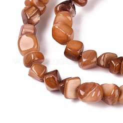 Нити бусин из натуральных пресноводных ракушек&nbsp;SHEL-N037-04C