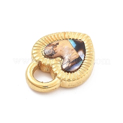 Подвеска в виде ракушки из нержавеющей стали 304&nbsp;STAS-R155-050G