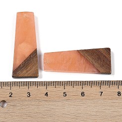 Подвески из смолы и дерева&nbsp;WOOD-F015-04F