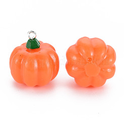 Подвески из непрозрачной смолы на осеннюю тематику&nbsp;X-RESI-S356-079