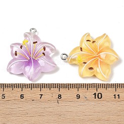 Подвески из смолы&nbsp;RESI-D016-04B