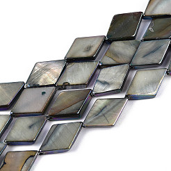 Окрашенные нити бусин из натуральных пресноводных ракушек&nbsp;SHEL-T020-13M