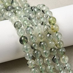 Природные пренит нитей бисера&nbsp;G-G457-6mm-03