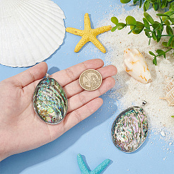 2 шт. большие подвески из натуральной ракушки пауа&nbsp;FIND-BC0013-55