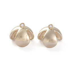 Латунный винт ушной крючок&nbsp;LS-KK-K379-05G