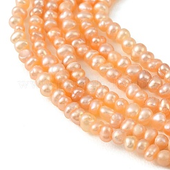 Нити из натурального культивированного пресноводного жемчуга&nbsp;PEAR-L034-13B