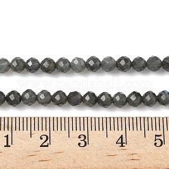 Природные лабрадорита бисер нитей&nbsp;LS-G-L622-C03-4mm