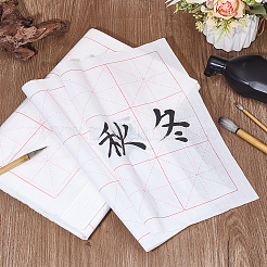 Китайская каллиграфия бумага сетка бумага&nbsp;OFST-WH0816-003B