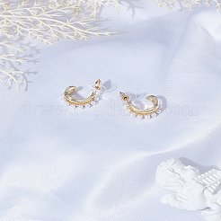 1 пара сережек-гвоздиков из цинкового сплава&nbsp;EJEW-LP0004-83