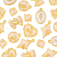 24шт 6 стиля подвески из сплава с эмалью&nbsp;ENAM-FS0002-65G